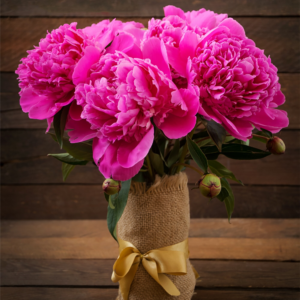 CARNATIONS