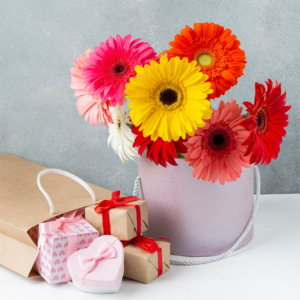GERBERAS